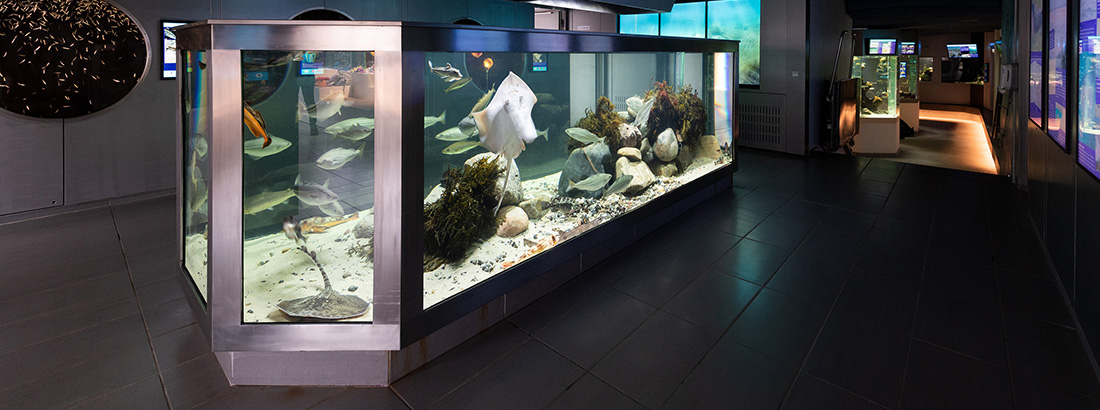 aquariums