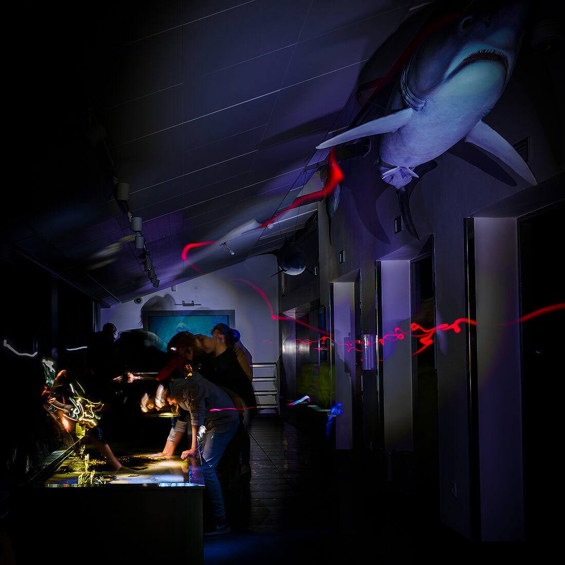 Kulturnat på akvariet. Foto: Kasper Nyberg